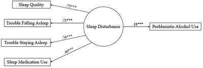 Sleep disturbance and problematic alcohol use: Examination of sex and race differences